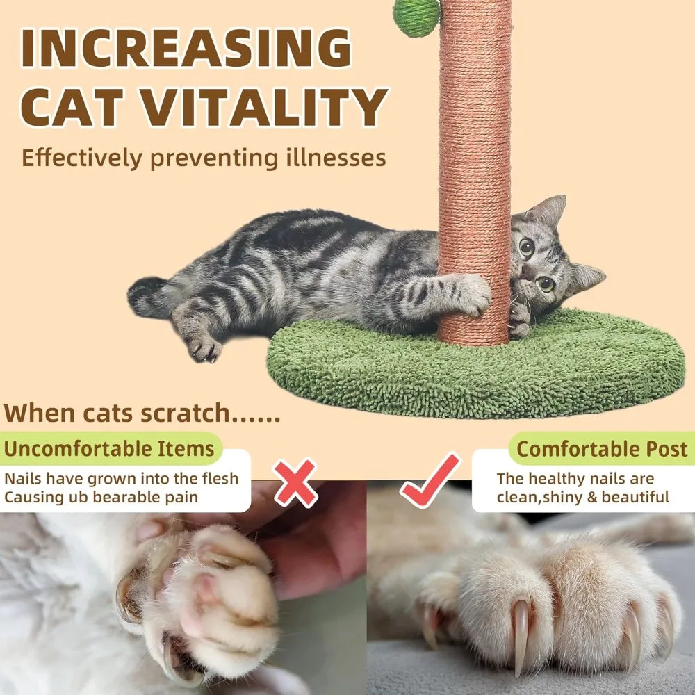 New 33 Inch Tall Cat Scratching Post with Hanging Ball