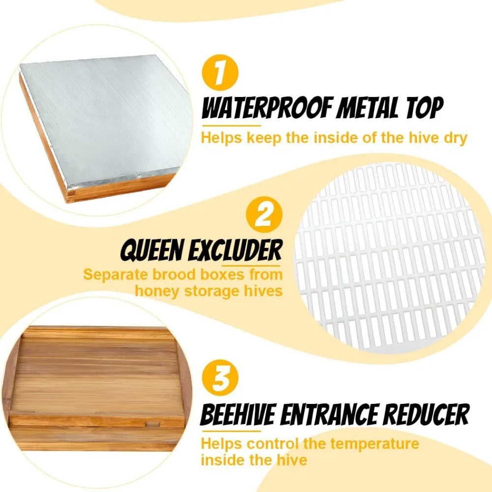 Honey Lake 8 Frame Beehive Kit With Beeswax Coating