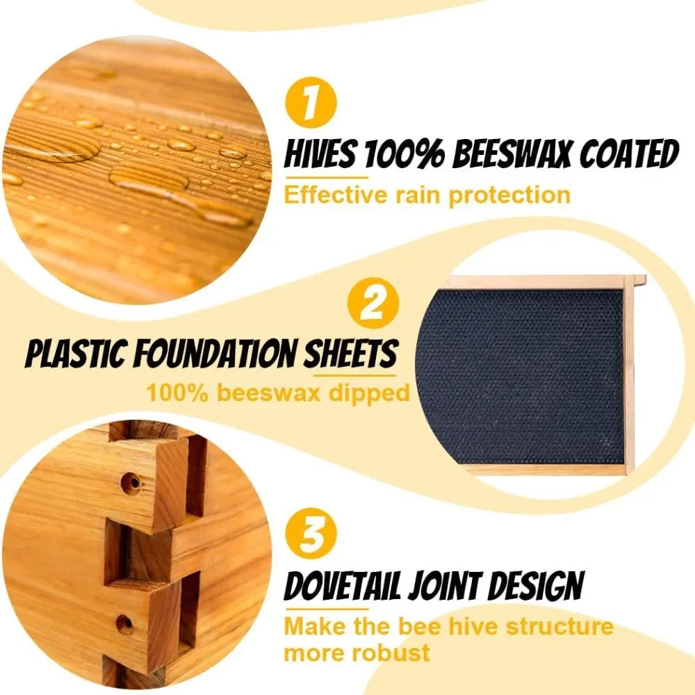 10 Frame Bee Hive Starter Kit with Beekeeping Supplies