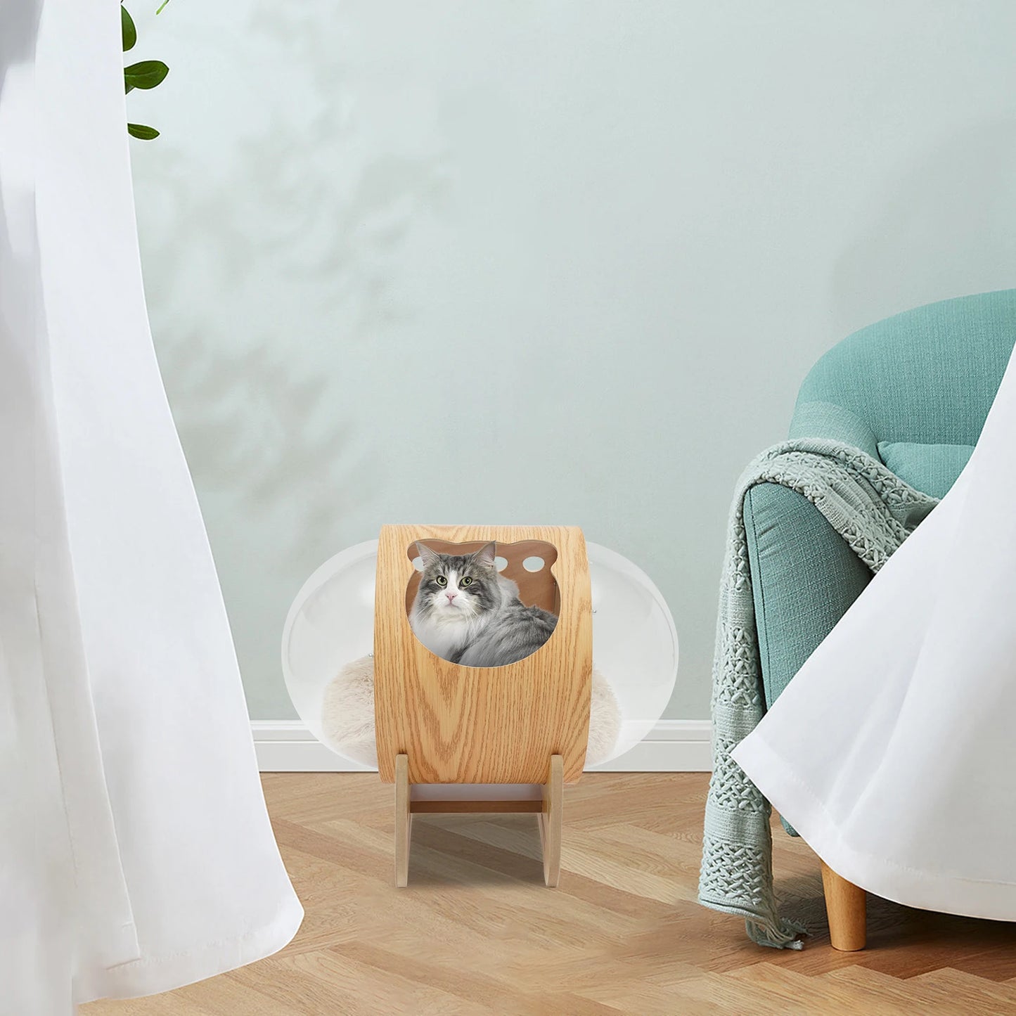 Modern Cat Wooden Bed House Space Capsule with Cushion