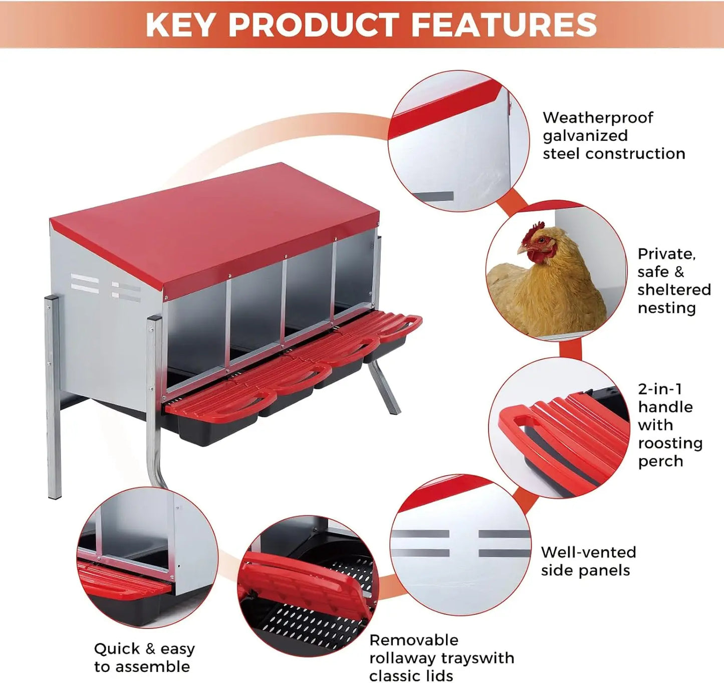 TWISTER.CK Automatic Egg Collection Multi Compartment Chicken Nest Box