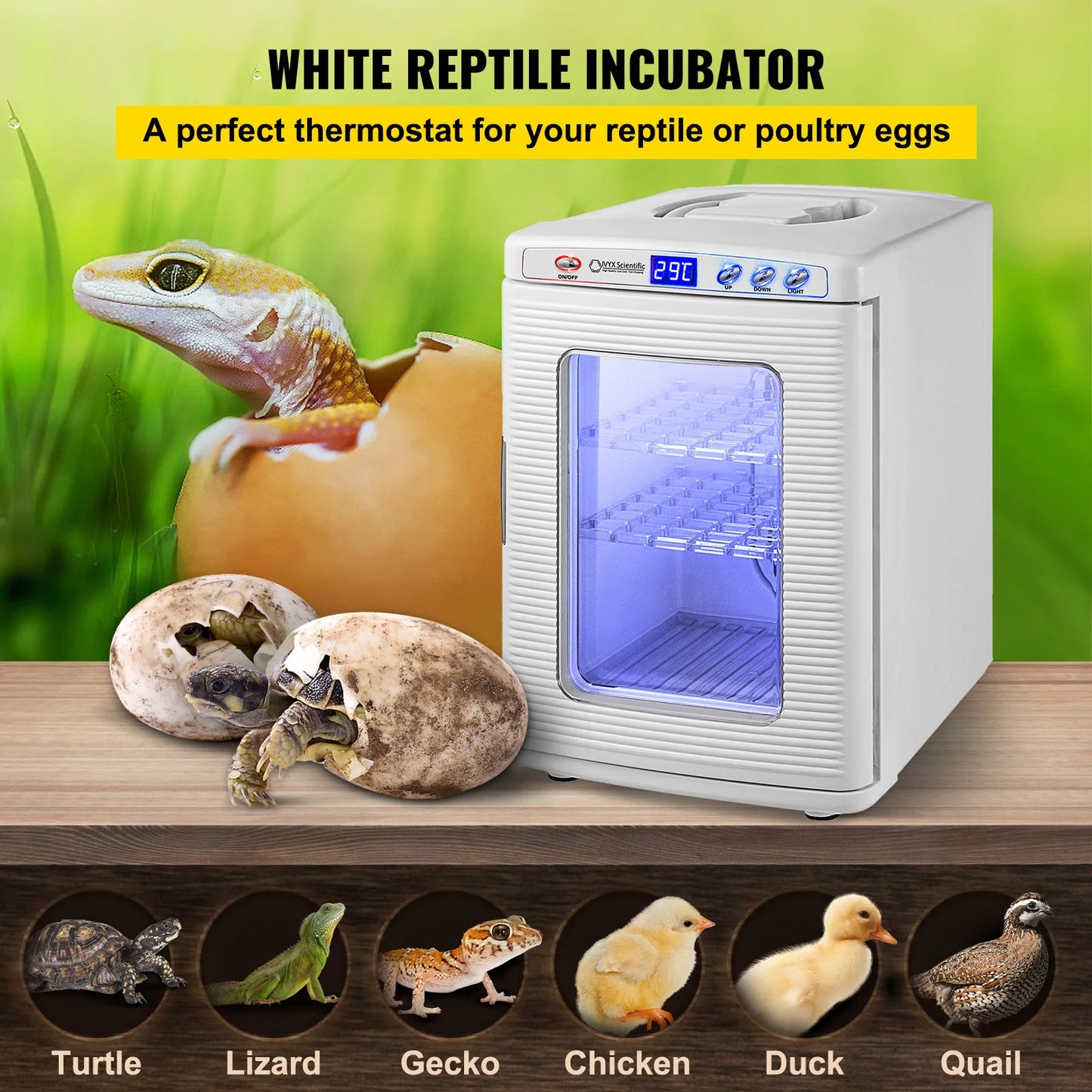 SucceBuy 25L Automatic Reptile Incubator for Egg Breeding