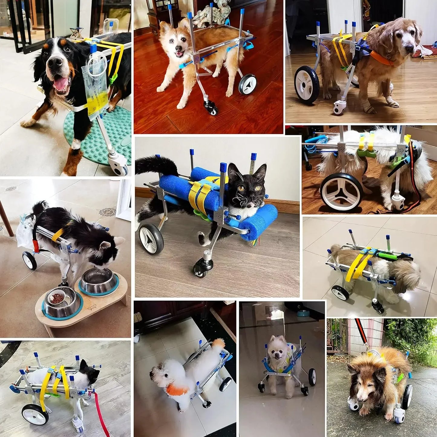 4 Wheel Dog Cart Wheelchair Pets With Disabled Hind Legs