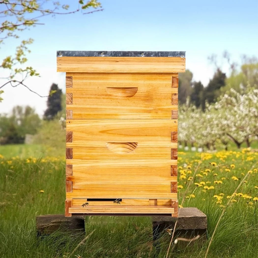 100% beeswax coated beehive includes beehive frame and beeswax coated foundation sheet (2 layers)