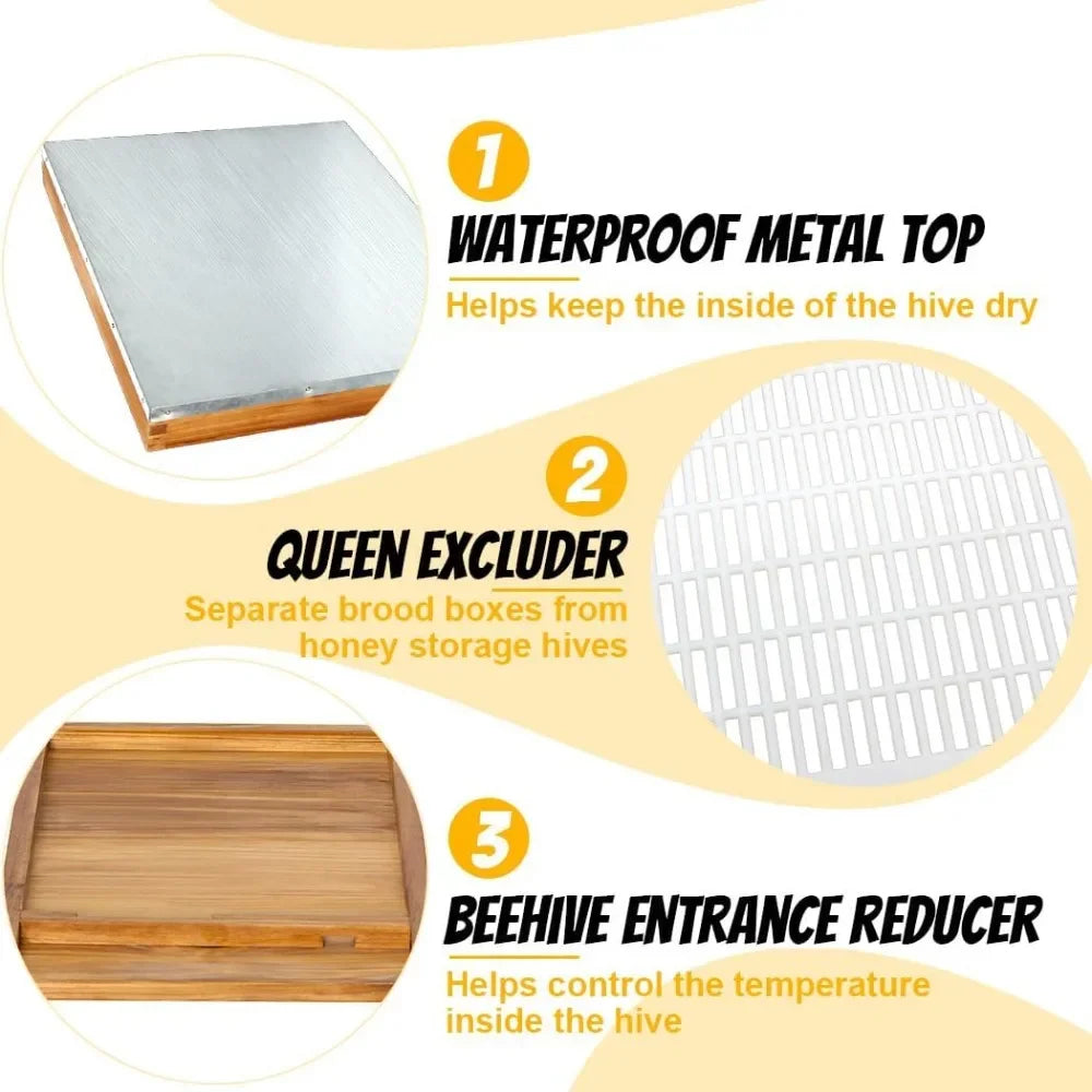 10 Frame Bee Hive Starter Kit with Beekeeping Supplies