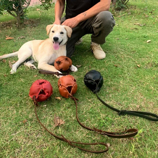Leather Dog Training Ball Toy With Handle Tug Bite Fetch