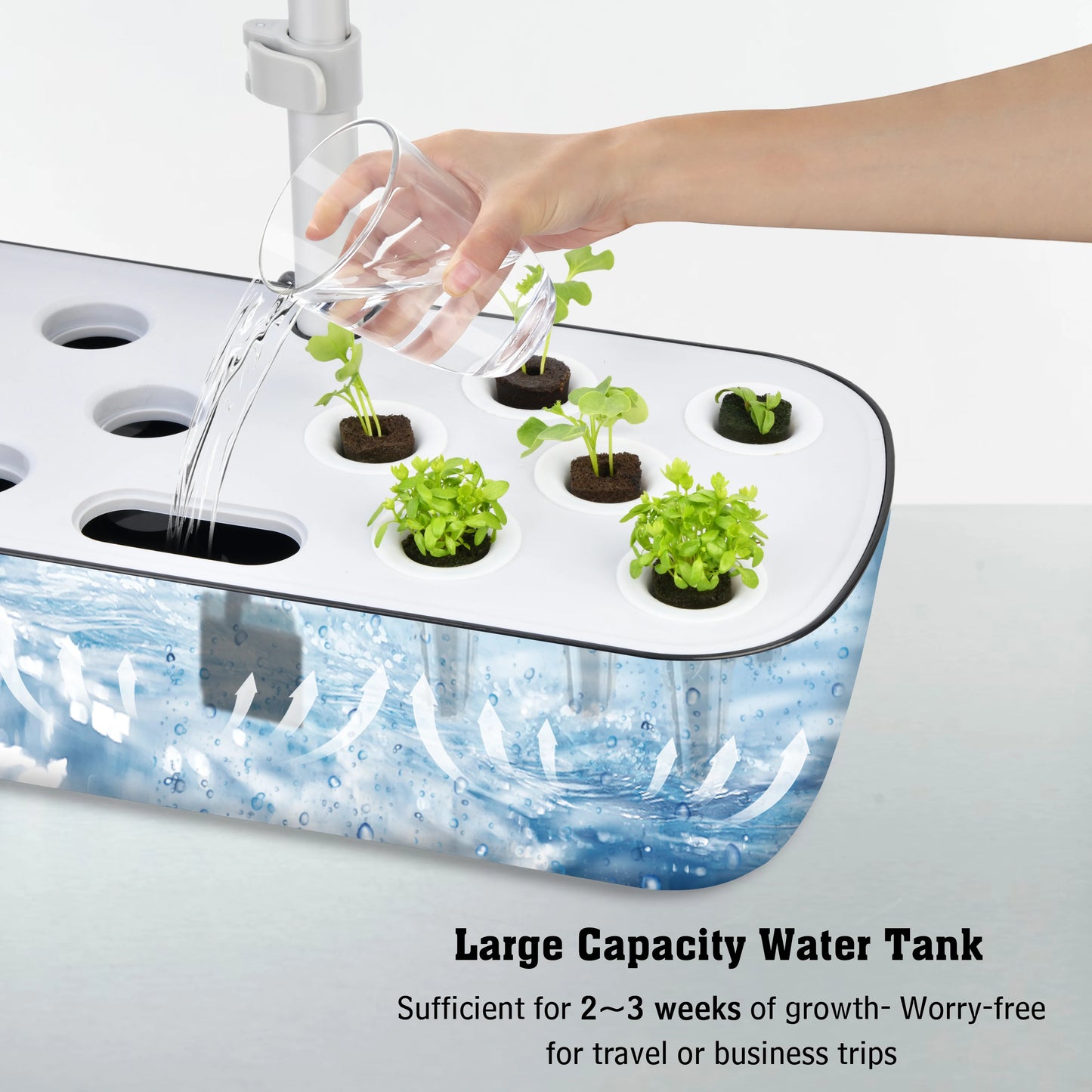 12 Pod Hydroponics Growing System With Automatic Timer LED Light