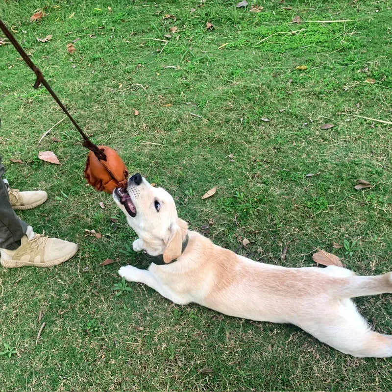 Leather Dog Training Ball Toy With Handle Tug Bite Fetch