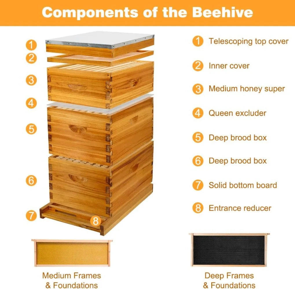 Honey Lake 8 Frame Beehive Kit With Beeswax Coating