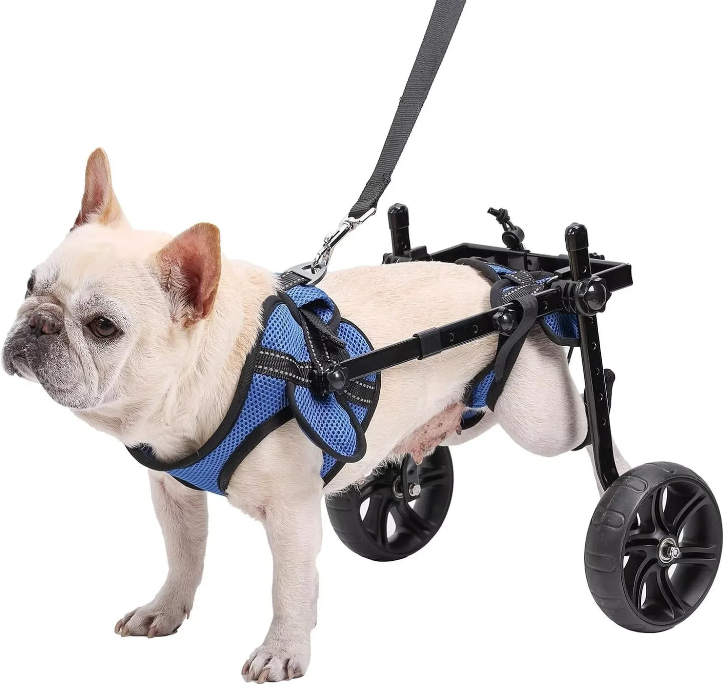 Adjustable Dog Wheelchair With All Terrain Tires Back Legs