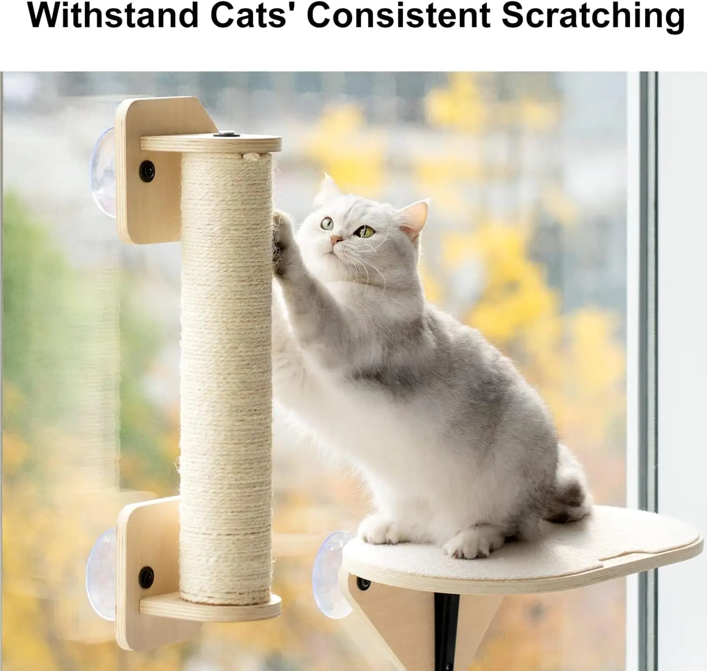 Mewoofun Cat Window Perch Hammock with Climbing Steps