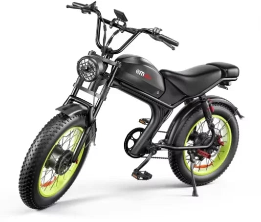 Ebike C93 2000W 48V 23AH Battery 20 Inch Off Road Tires