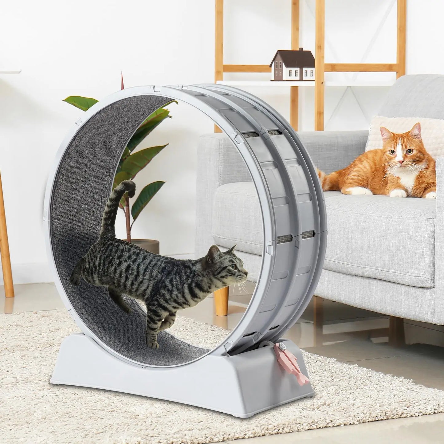 Indoor Cat Exercise Wheel 31 Inch Gray Treadmill for Cats