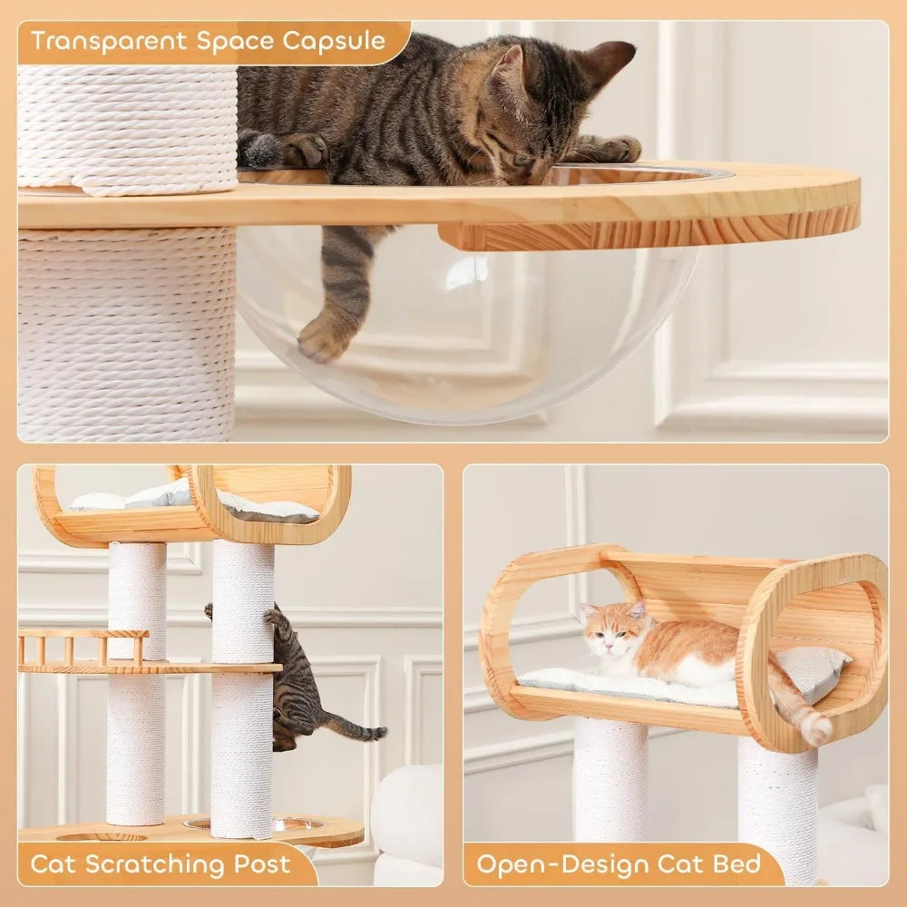 63 Inch Modern Cat Tree Tower for Multi Cat Families