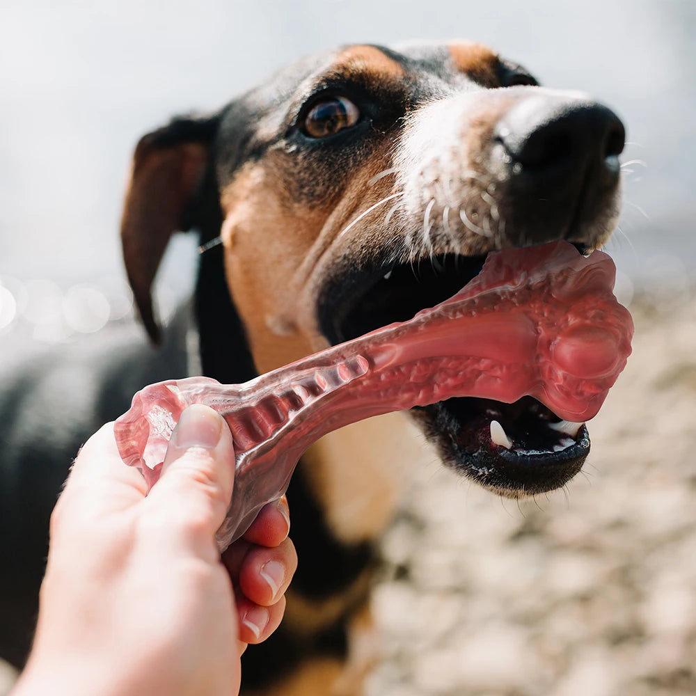 MASBRILL Indestructible Dog Bone Toy for Aggressive Chewers