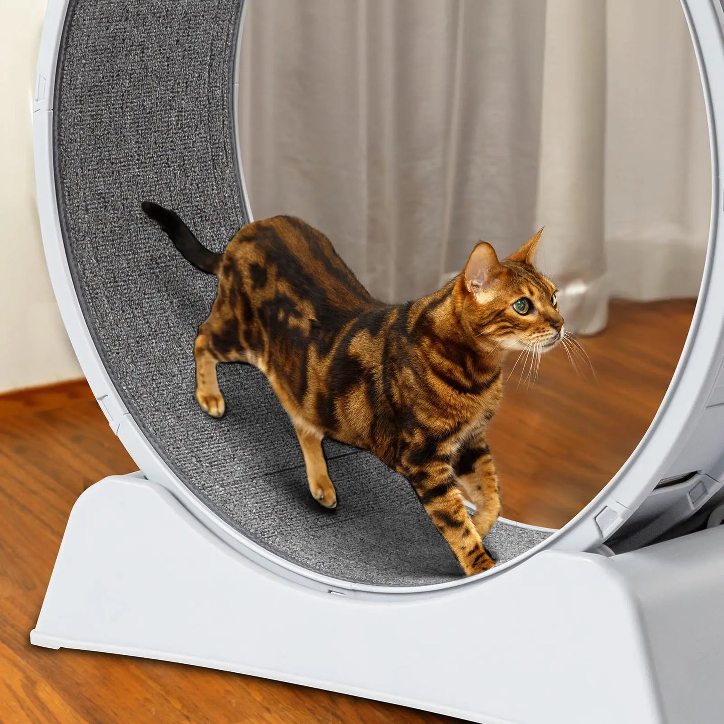 Indoor Cat Exercise Wheel 31 Inch Gray Treadmill for Cats