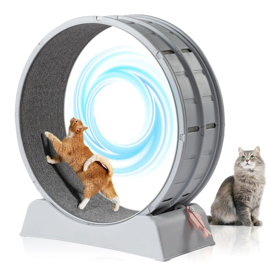 Indoor Cat Exercise Wheel 31 Inch Gray Treadmill for Cats