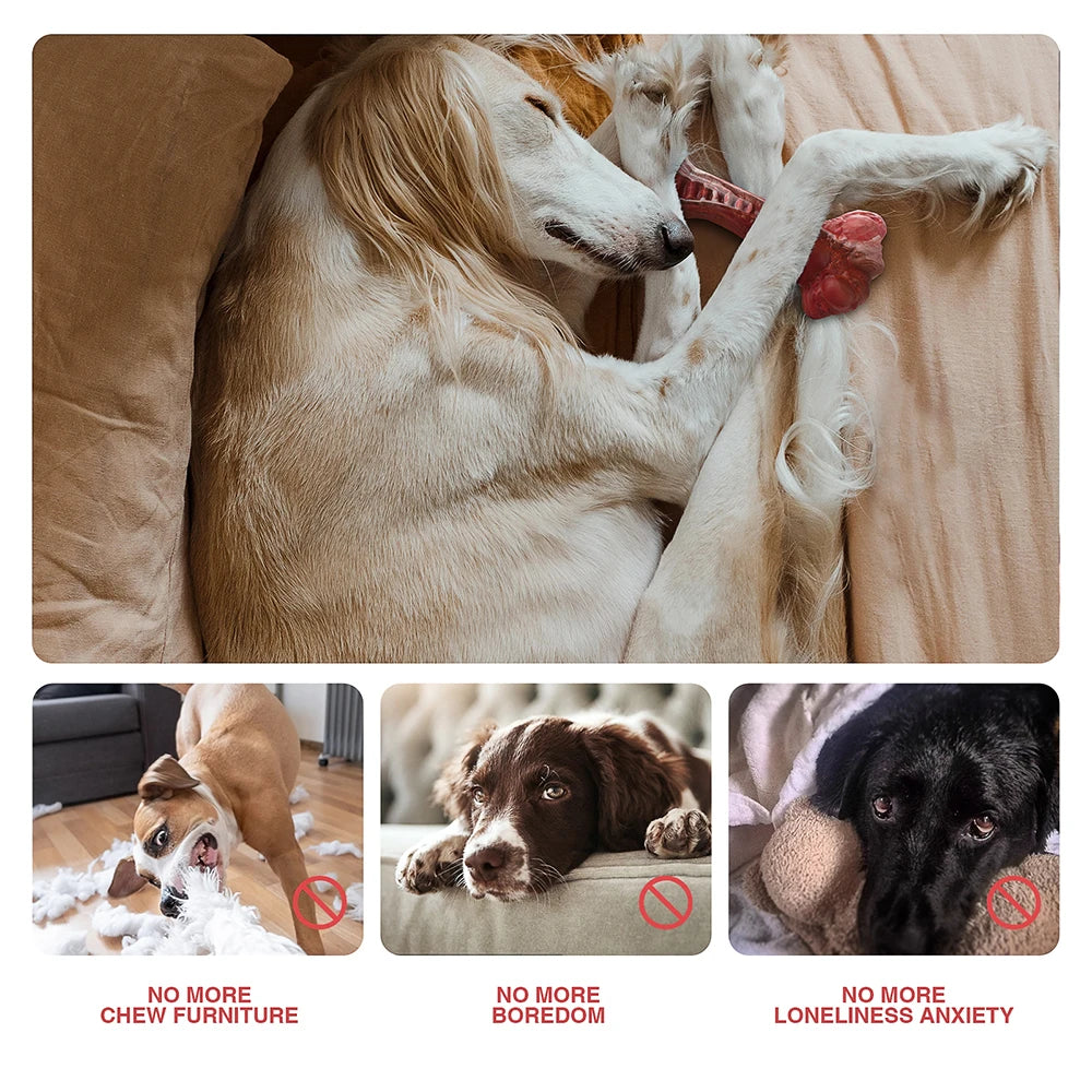 MASBRILL Indestructible Dog Bone Toy for Aggressive Chewers