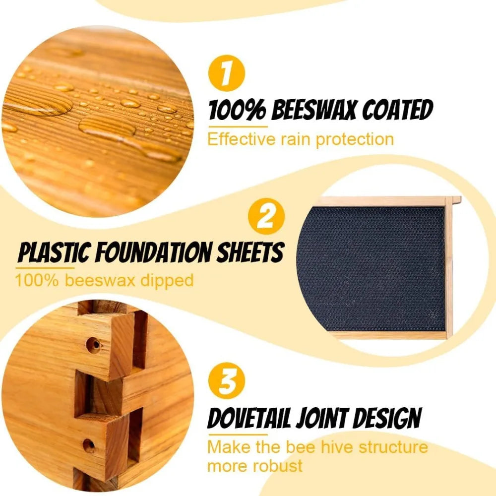 Honey Lake 8 Frame Beehive Kit With Beeswax Coating