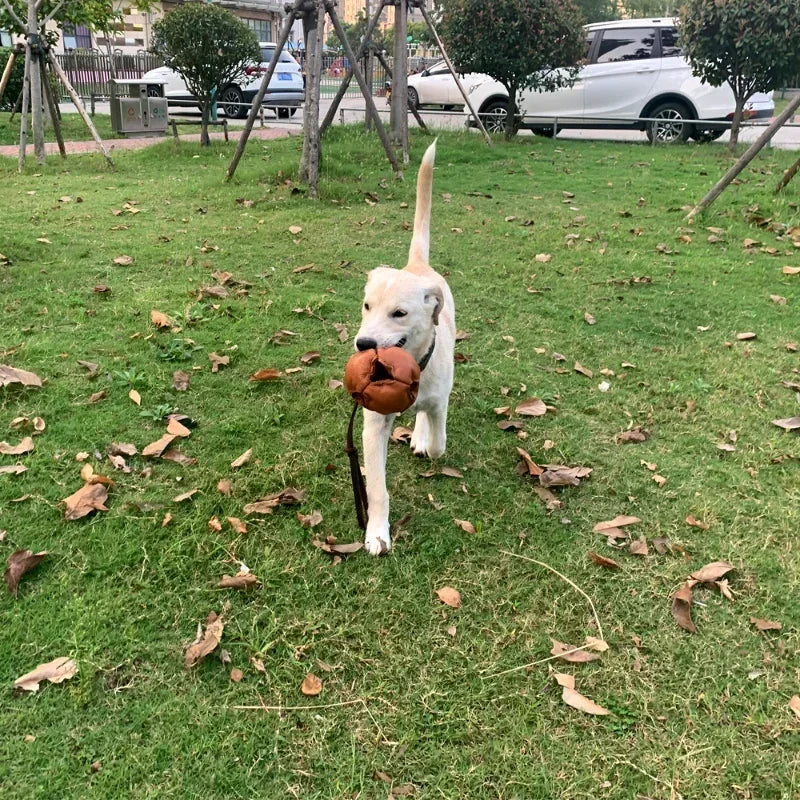Leather Dog Training Ball Toy With Handle Tug Bite Fetch