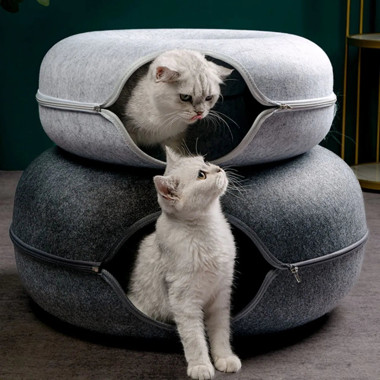 Interactive Donut Cat Bed Tunnel Indoor Pet House