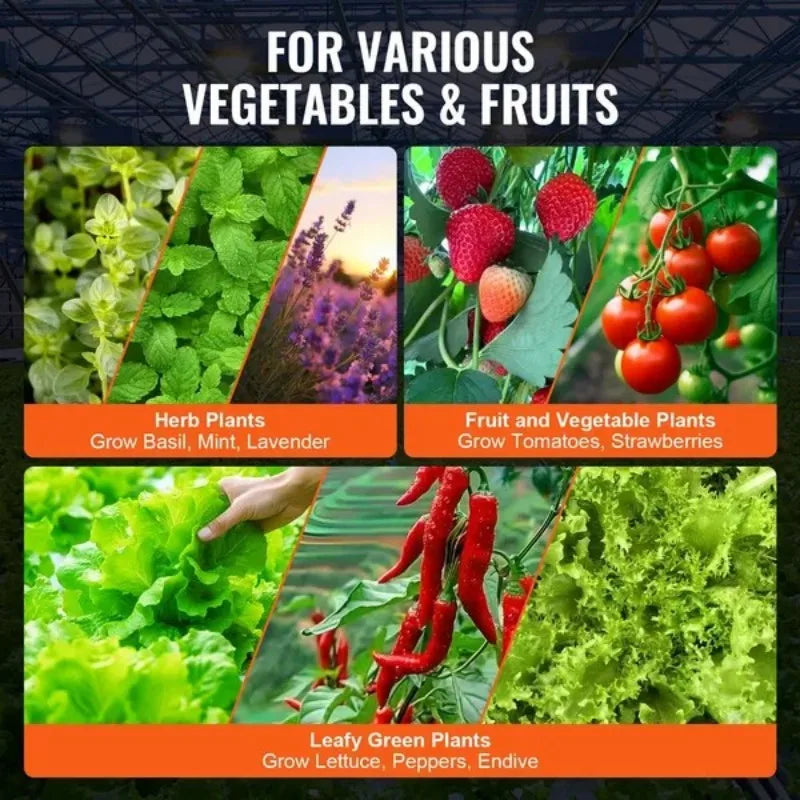 DWC Hydroponics Grow System With Top Drip Bucket